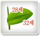 �Ǯ��2
